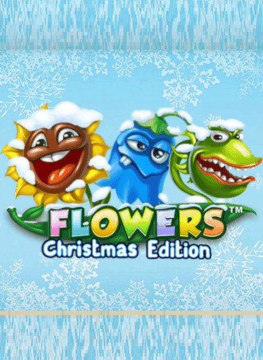 Flowers Christmas Edition