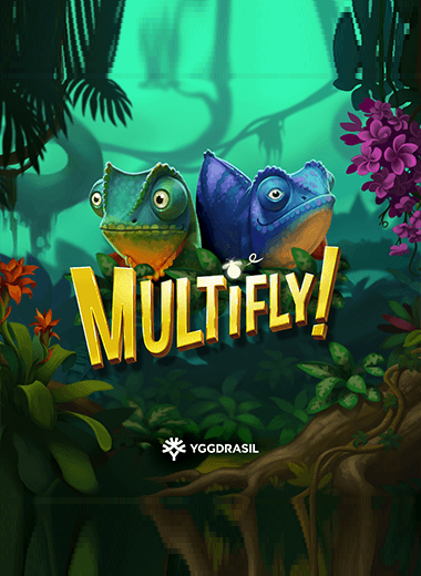 MultiFly!