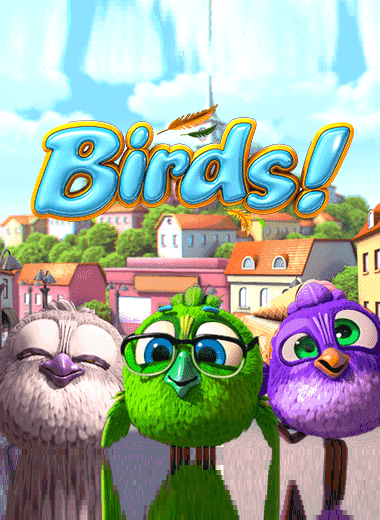 Birds!